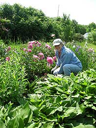 Camden Garden Club